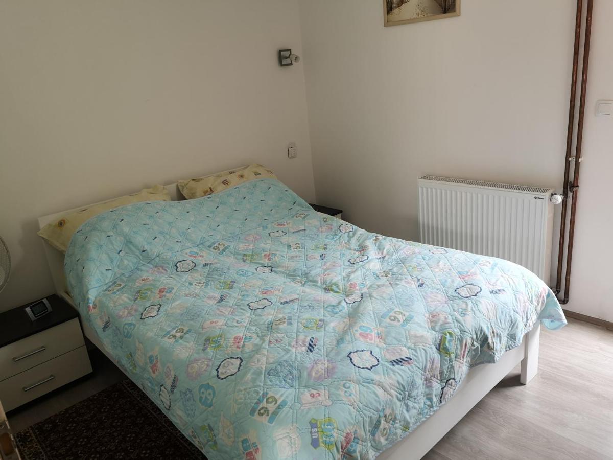 Apartmani Zubor Banja Koviljača Zewnętrze zdjęcie