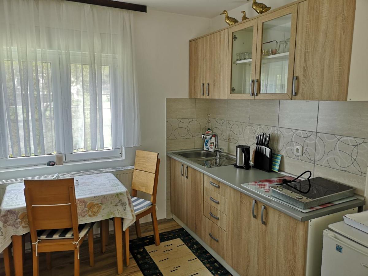 Apartmani Zubor Banja Koviljača Zewnętrze zdjęcie