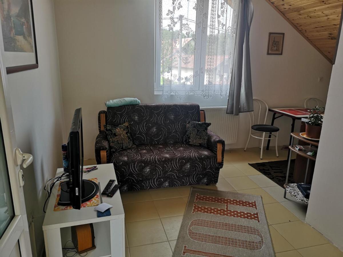 Apartmani Zubor Banja Koviljača Zewnętrze zdjęcie